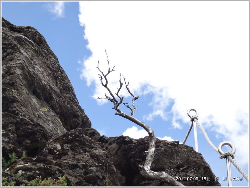 2012-07-11 13-44-03挺進五岩峰.JPG